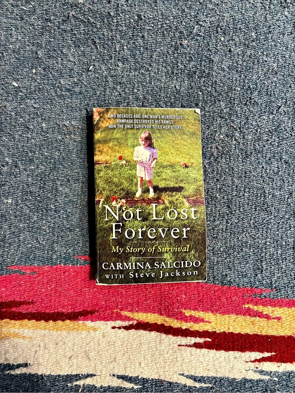Not Lost Forever: My Story of Survival Paperback Book Green & Multicolor